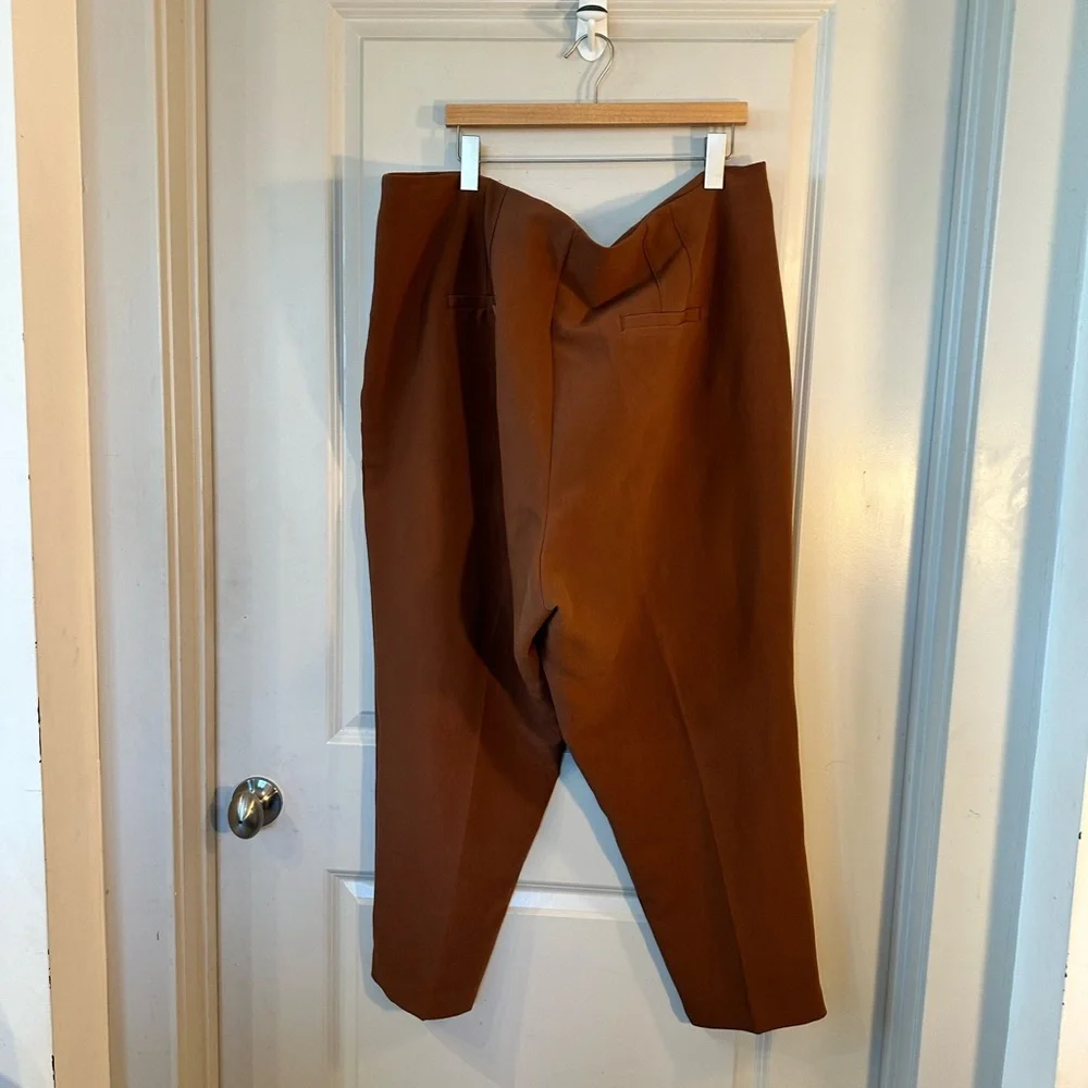 Eloquii pants size